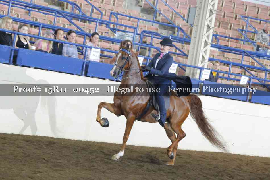 Proof 15R11_00452