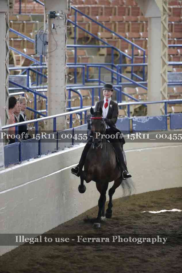 Proof 15R11_00455