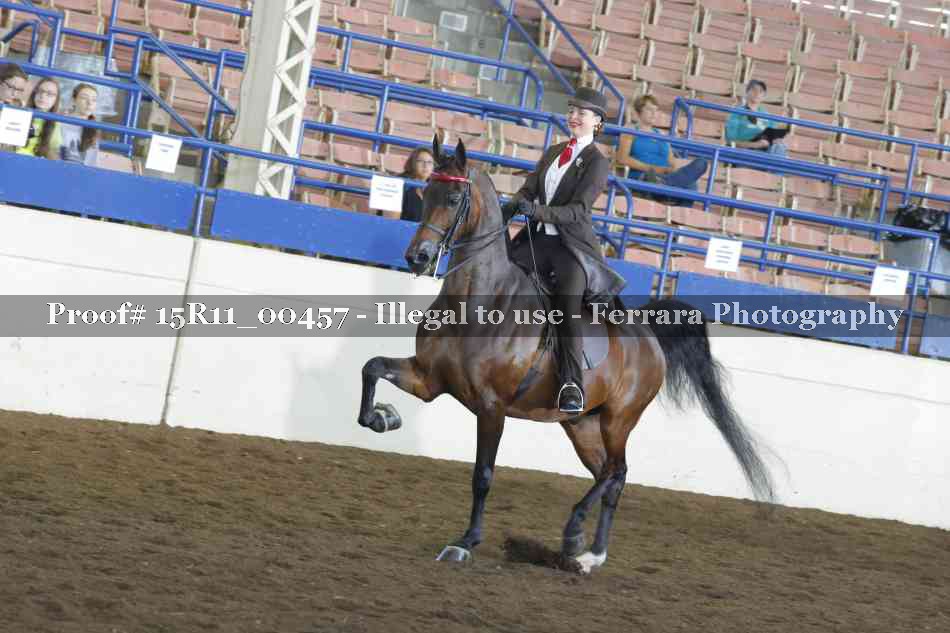 Proof 15R11_00457
