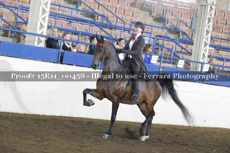 Proof 15R11_00458