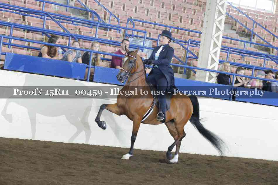 Proof 15R11_00459