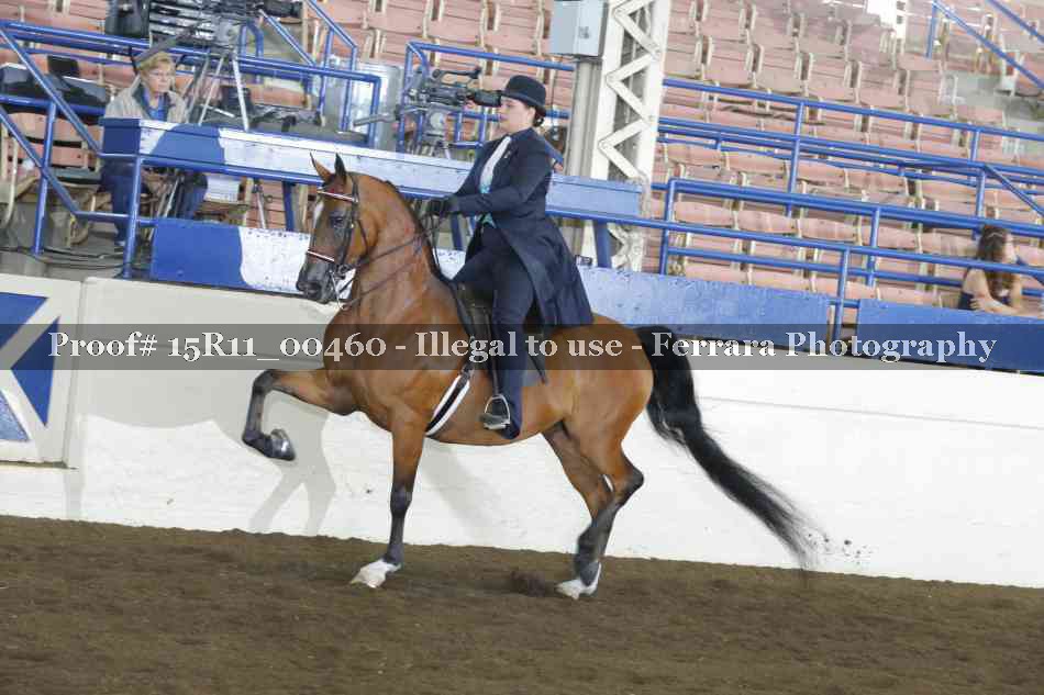 Proof 15R11_00460