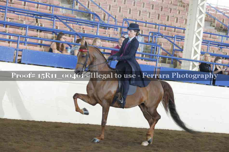 Proof 15R11_00461