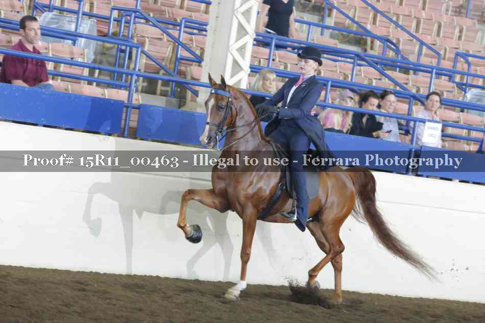 Proof 15R11_00463