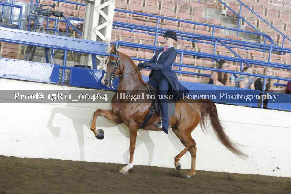 Proof 15R11_00464
