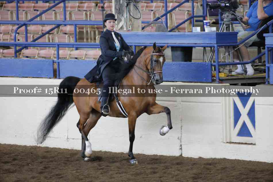 Proof 15R11_00465