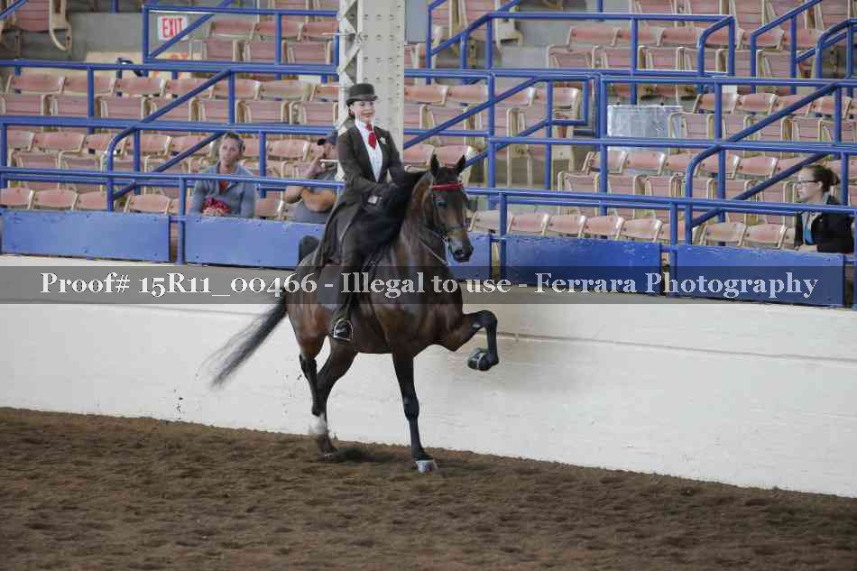 Proof 15R11_00466