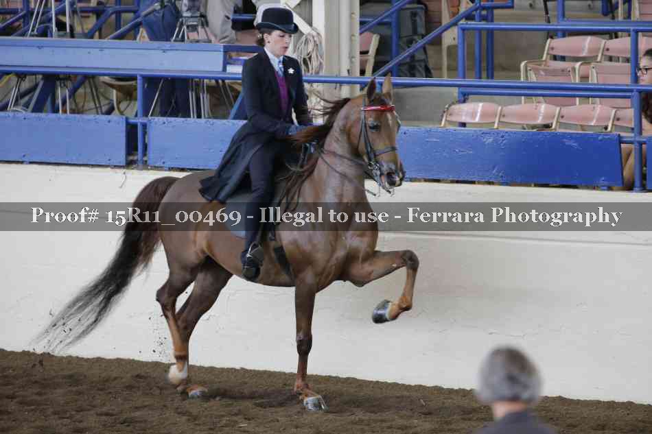 Proof 15R11_00469