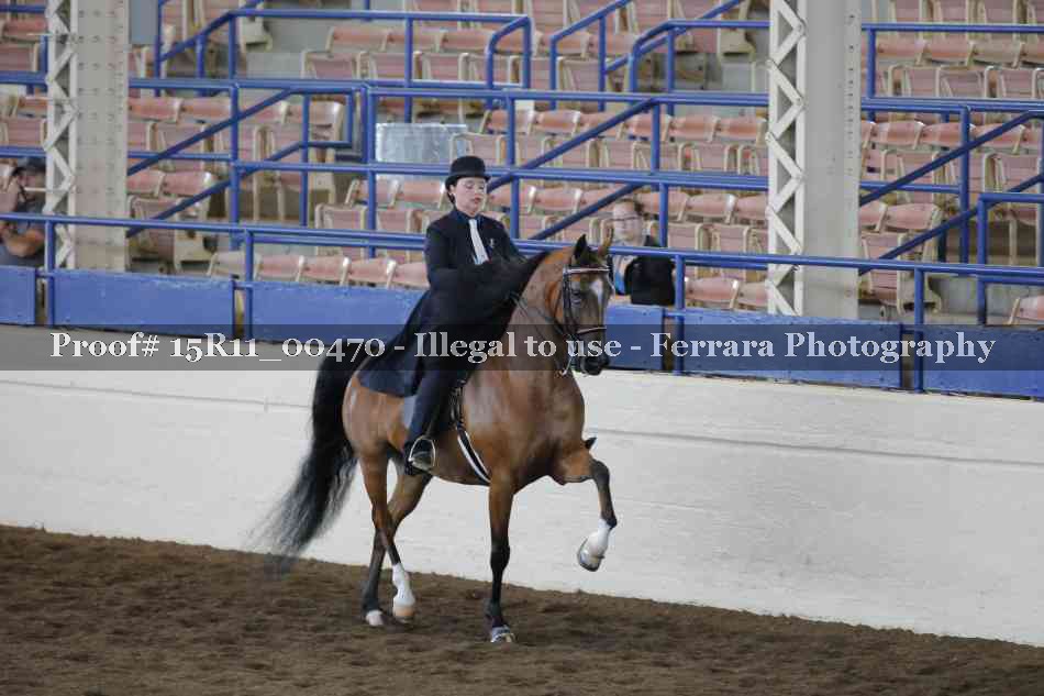 Proof 15R11_00470