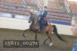 15R11_00471 proof