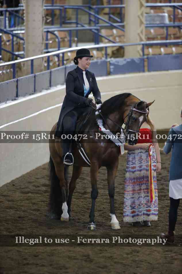 Proof 15R11_00472