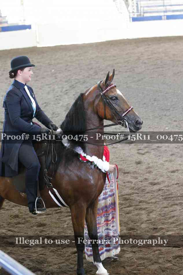 Proof 15R11_00475