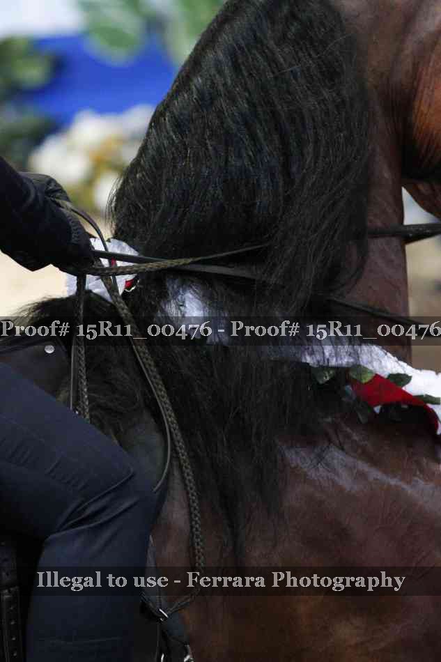 Proof 15R11_00476
