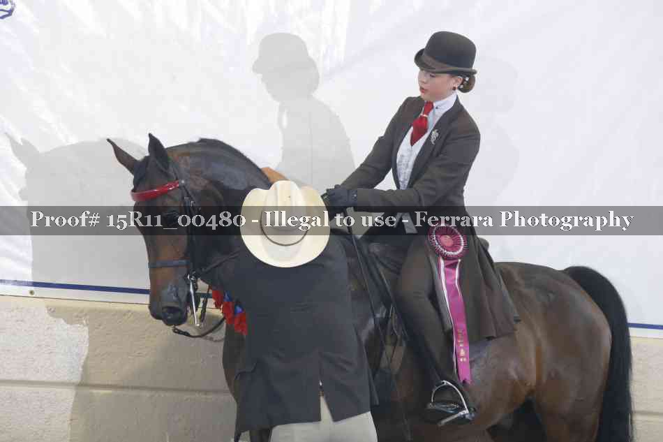 Proof 15R11_00480