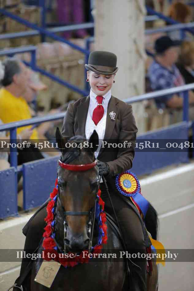 Proof 15R11_00481