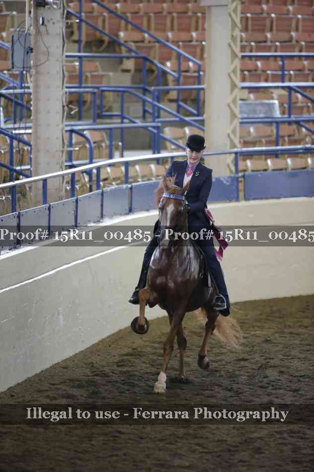 Proof 15R11_00485
