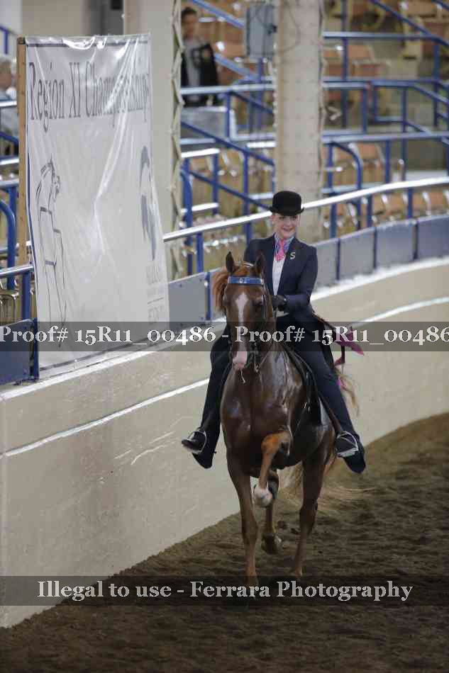 Proof 15R11_00486
