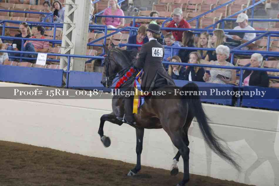 Proof 15R11_00487