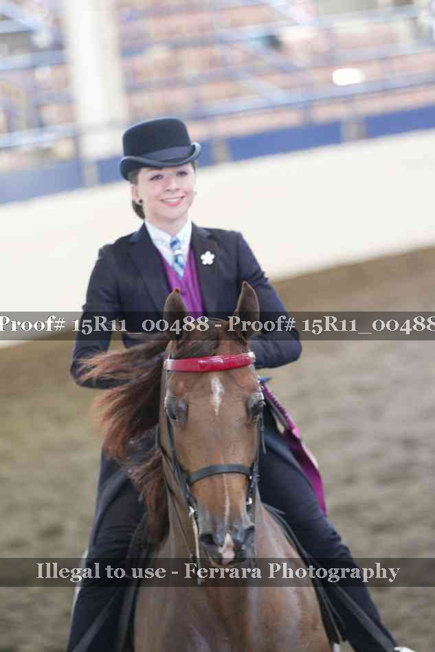 Proof 15R11_00488