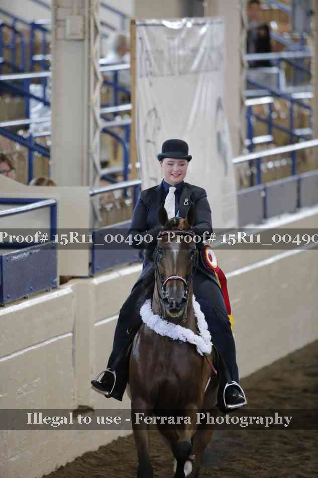 Proof 15R11_00490