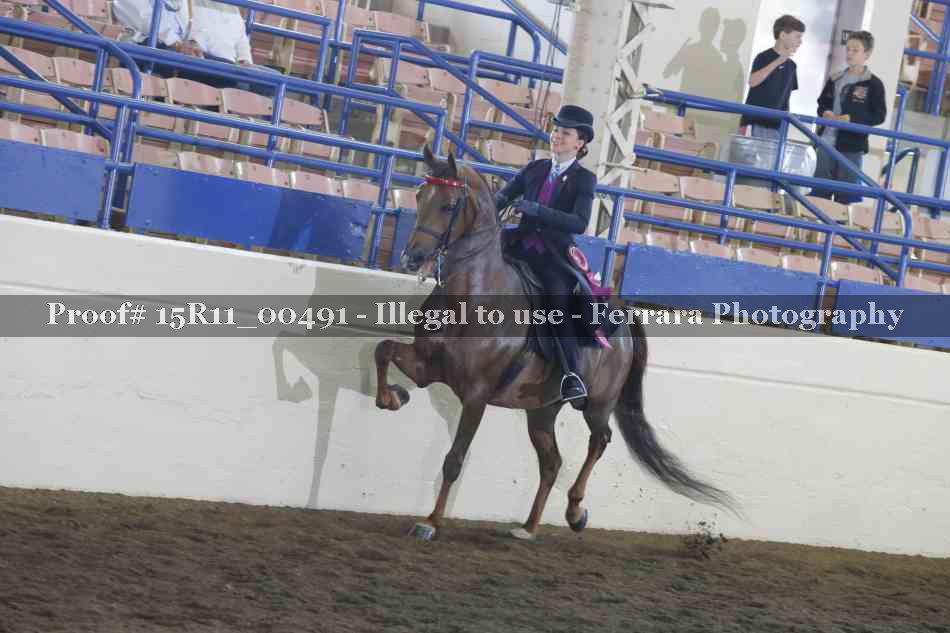 Proof 15R11_00491