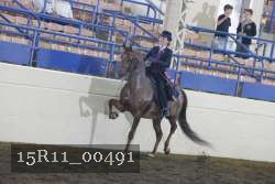 15R11_00491 proof