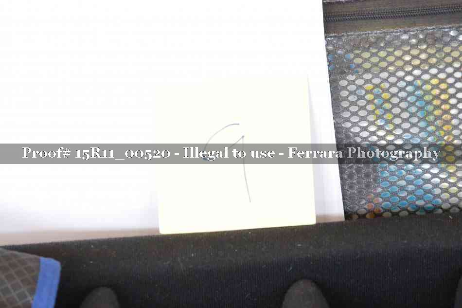 Proof 15R11_00520