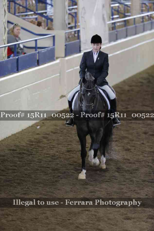Proof 15R11_00522