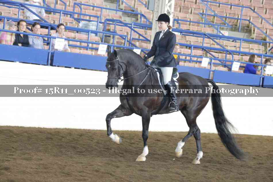 Proof 15R11_00523