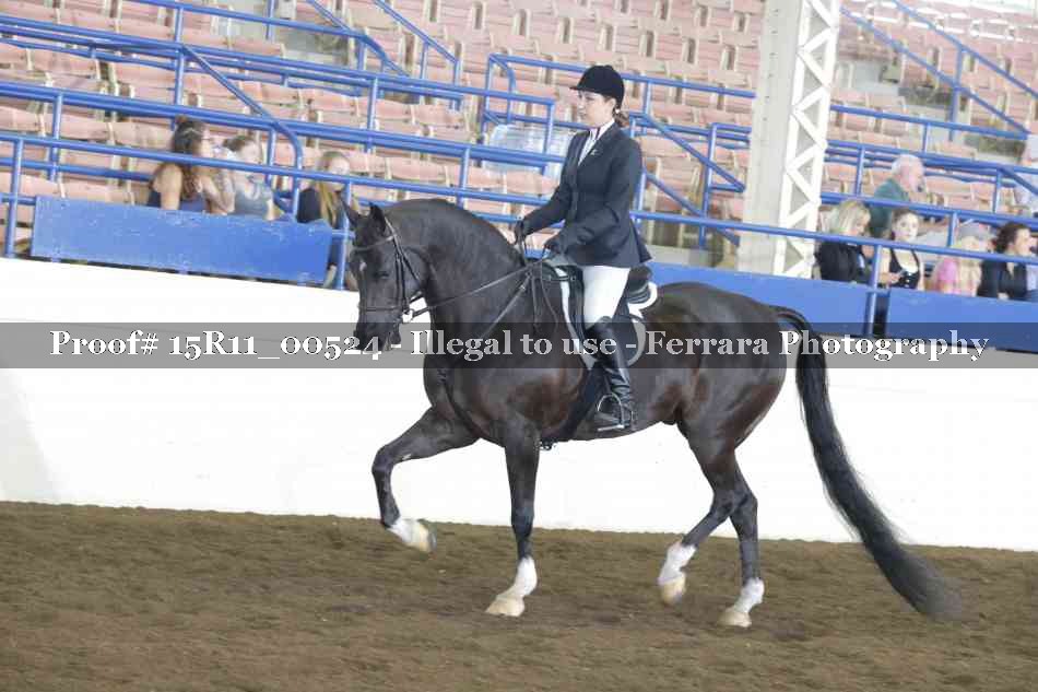 Proof 15R11_00524