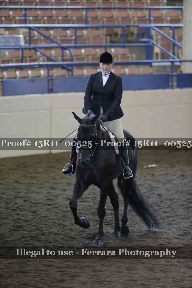 Proof 15R11_00525