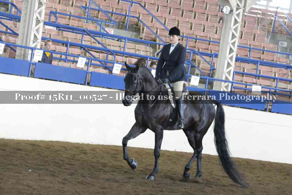 Proof 15R11_00527