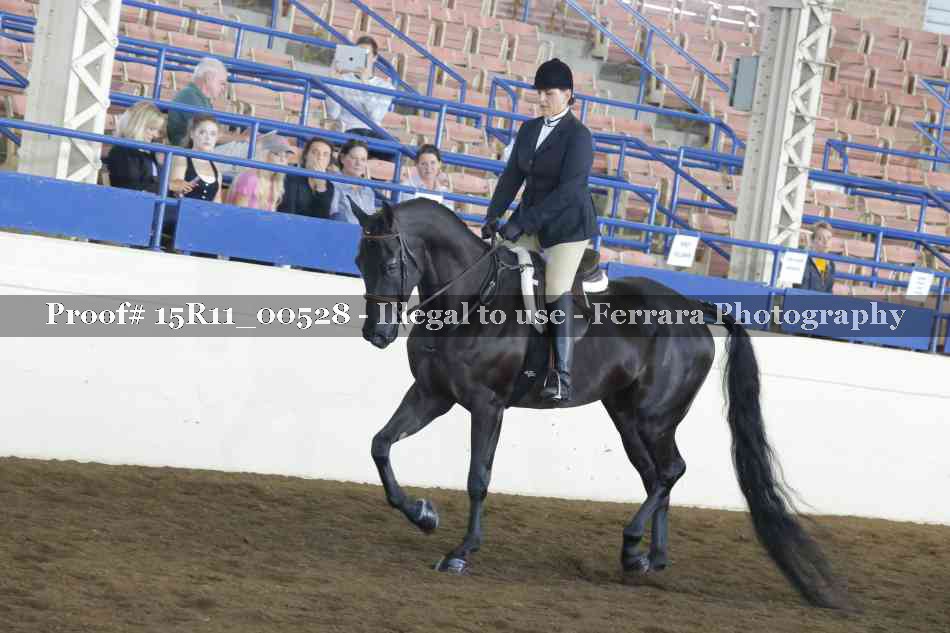 Proof 15R11_00528