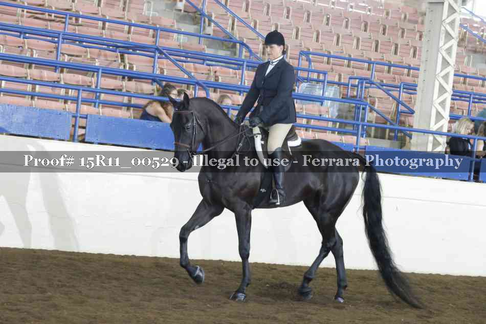 Proof 15R11_00529