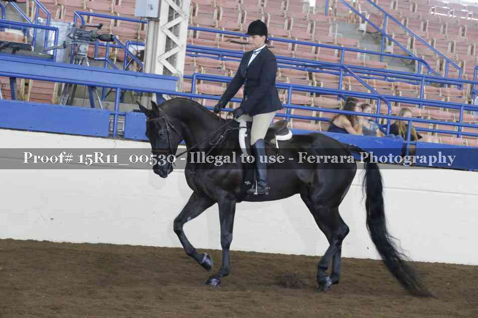 Proof 15R11_00530