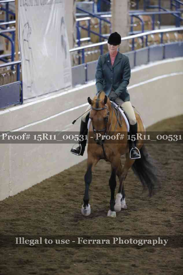 Proof 15R11_00531