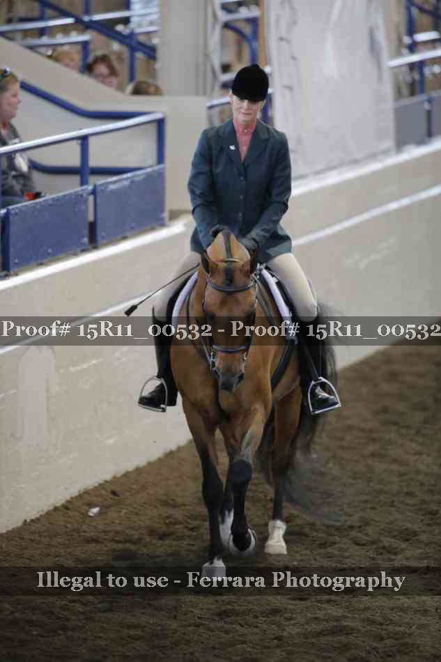 Proof 15R11_00532