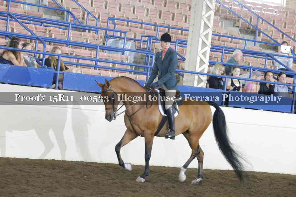 Proof 15R11_00533