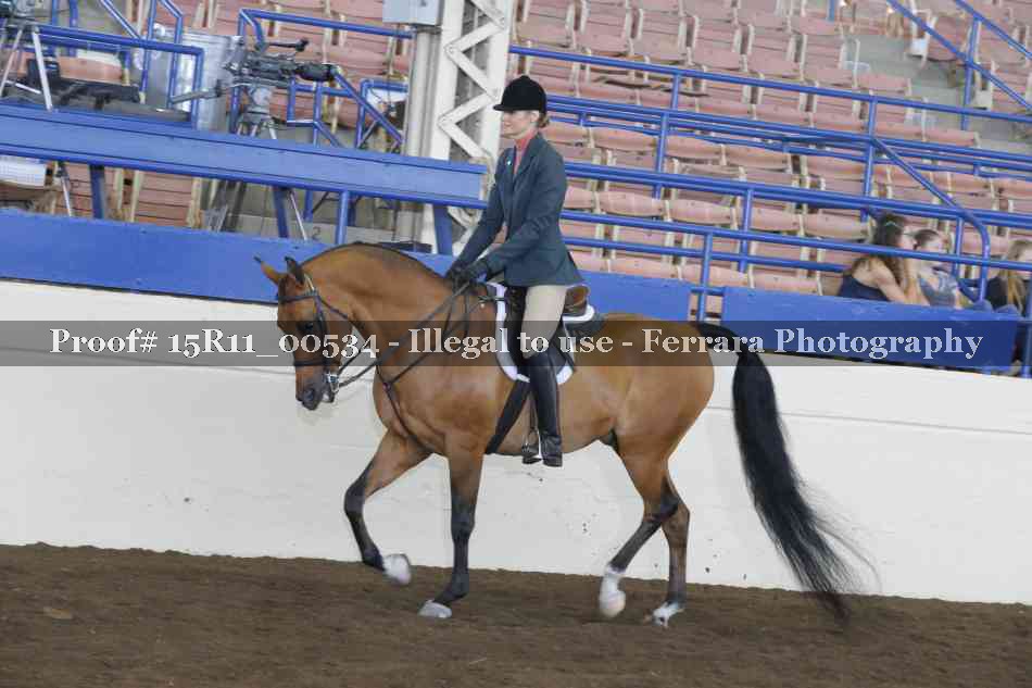 Proof 15R11_00534