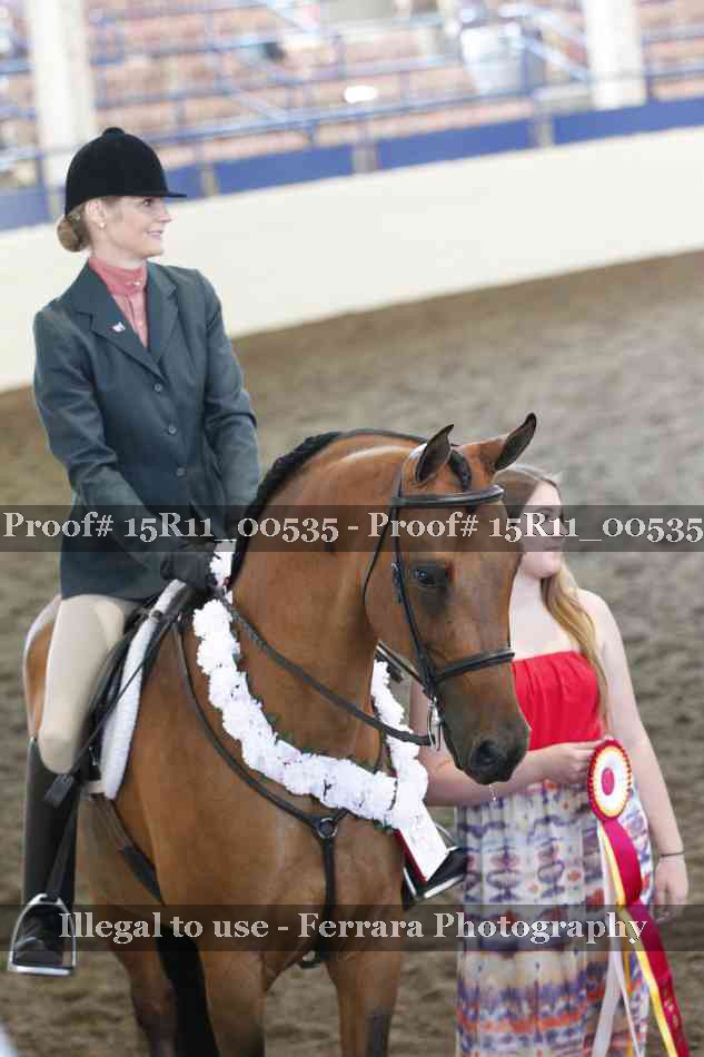 Proof 15R11_00535