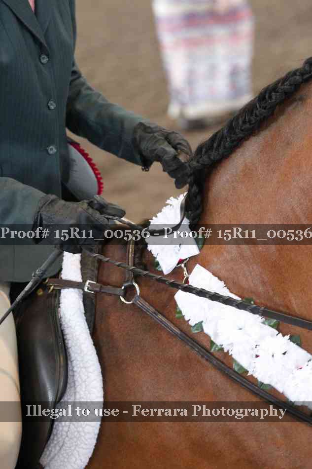 Proof 15R11_00536