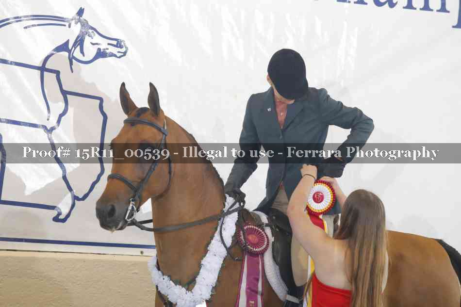 Proof 15R11_00539