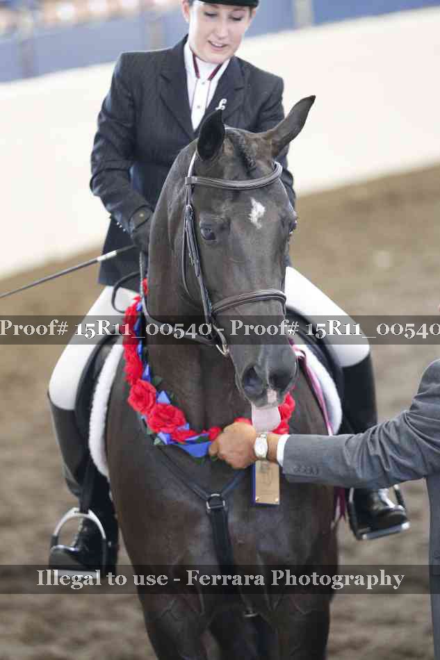Proof 15R11_00540