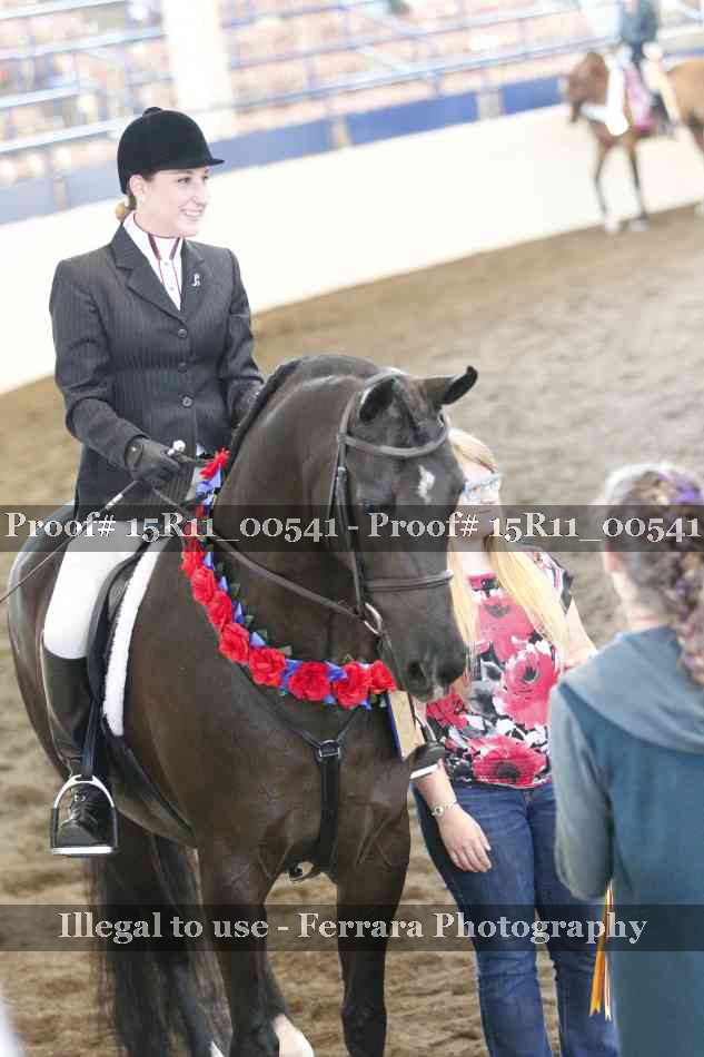 Proof 15R11_00541