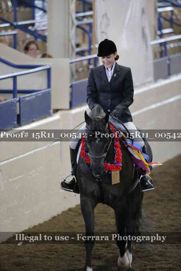 Proof 15R11_00542