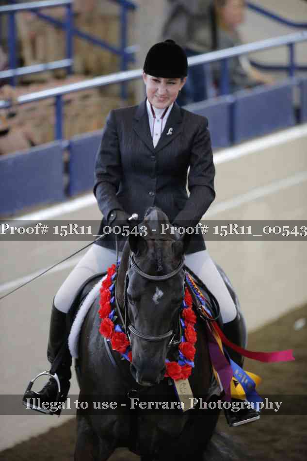 Proof 15R11_00543