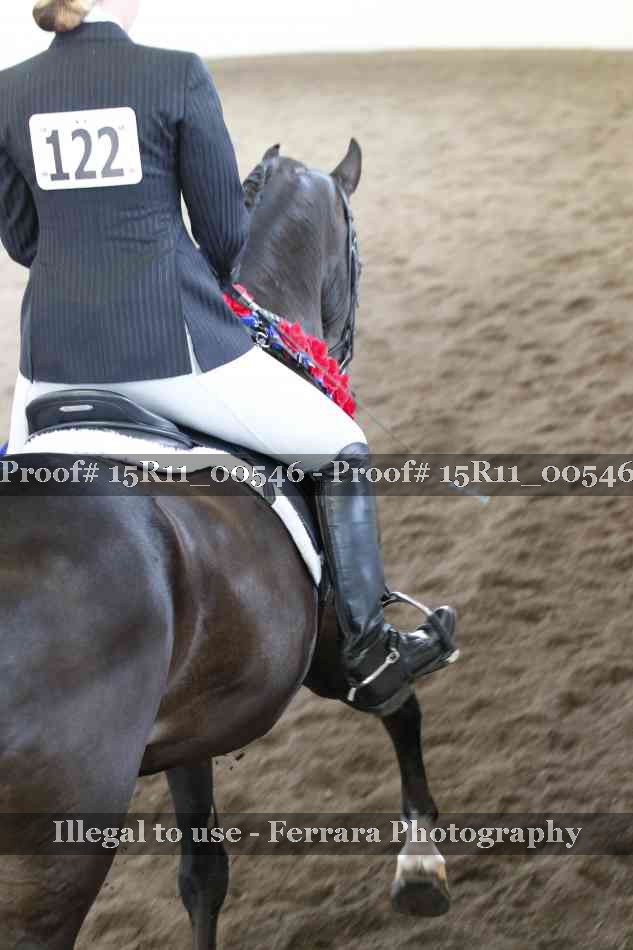 Proof 15R11_00546