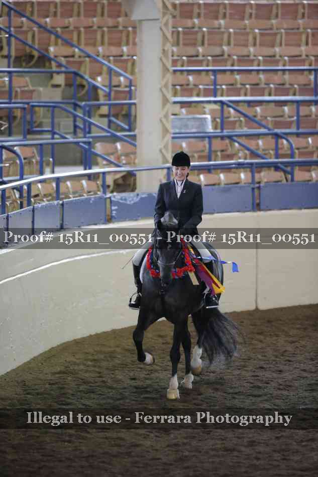 Proof 15R11_00551