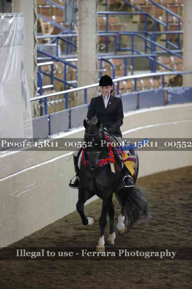Proof 15R11_00552