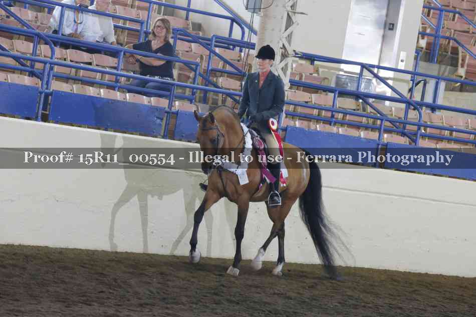 Proof 15R11_00554